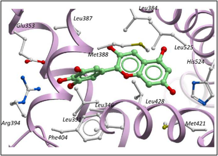 Interaction polyphenols